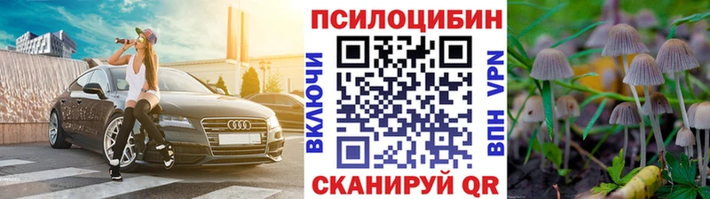 Псилоцибиновые грибы Psilocybine cubensis  Ардатов 
